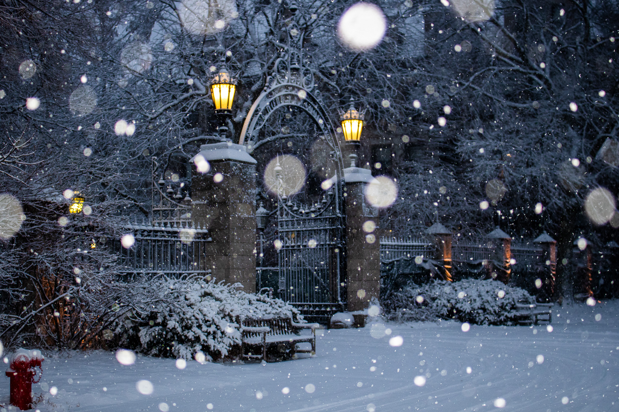 Campus gate in snow
