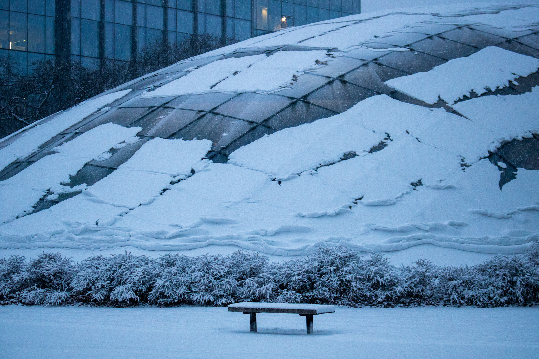 Mansueto Library in snow