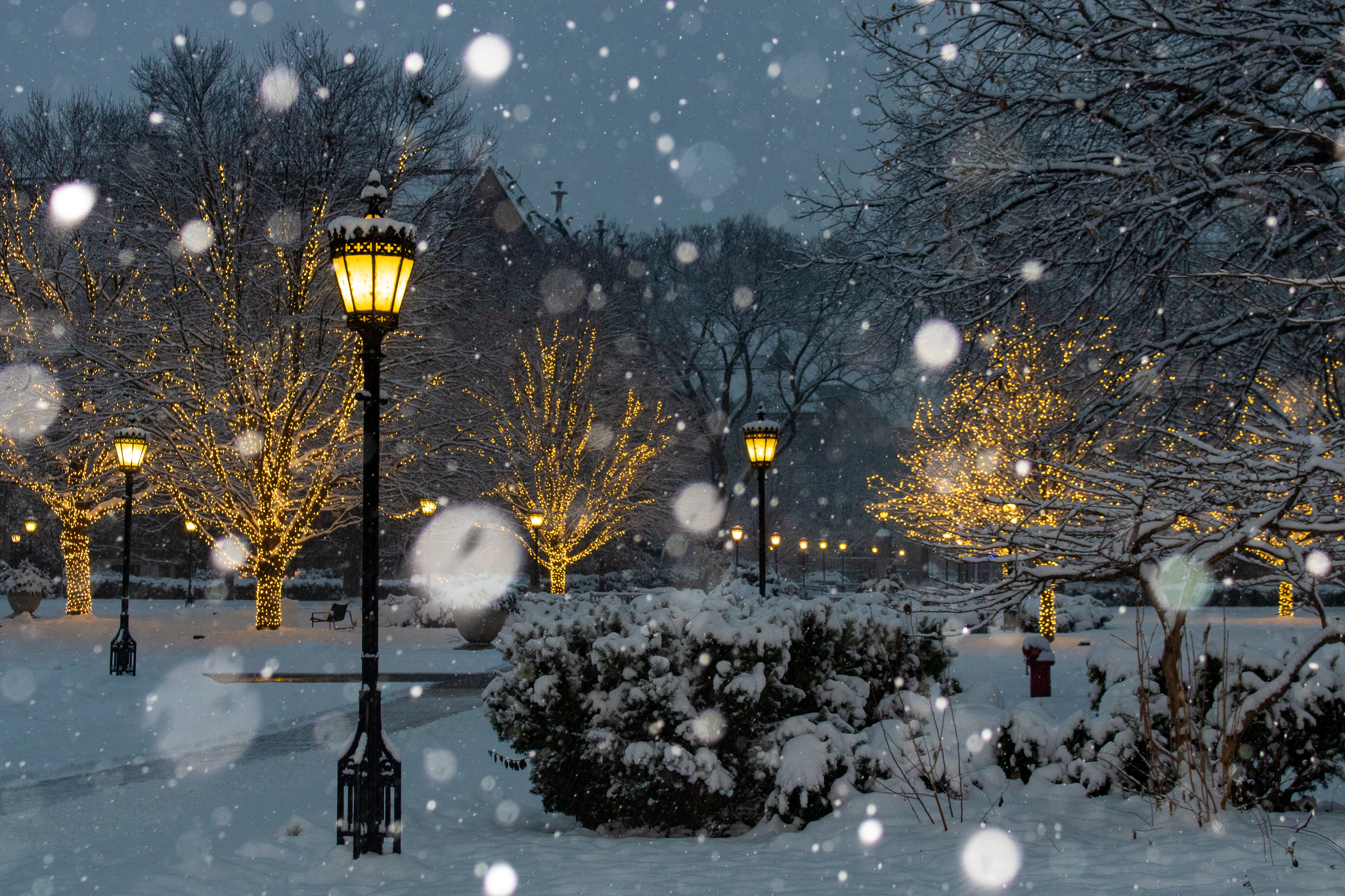 Snowy quad, UChicago